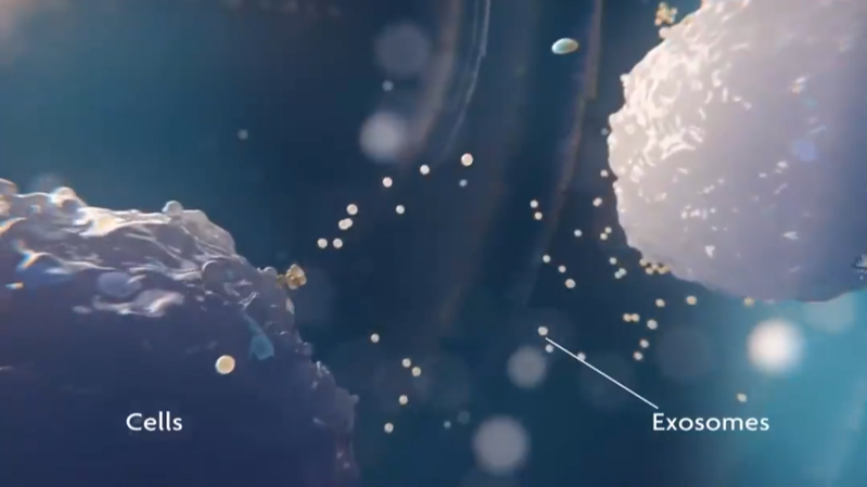 诺奖级抗衰新星！外泌体，小泡泡里藏着大年轻