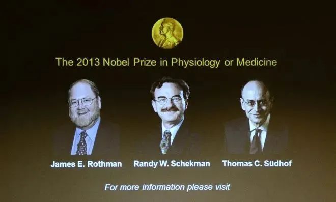 微信图片_2025-08-04_152953_491 微信图片_2025-08-04_152953_491