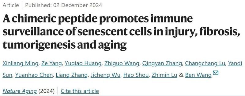 微信图片_2025-08-04_155046_104 微信图片_2025-08-04_155046_104