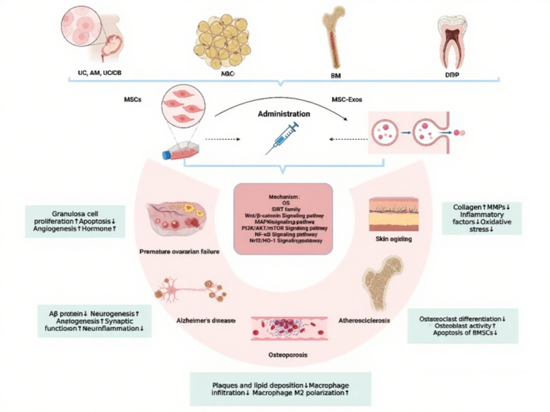 微信图片_2025-08-04_155408_894 微信图片_2025-08-04_155408_894